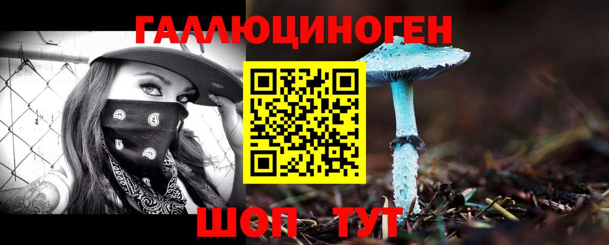 Сухой Лог  Галлюциногенные грибы GOLDEN TEACHER  Вход с VPN  Псилоцибиновые грибы Psilocybine cubensis 