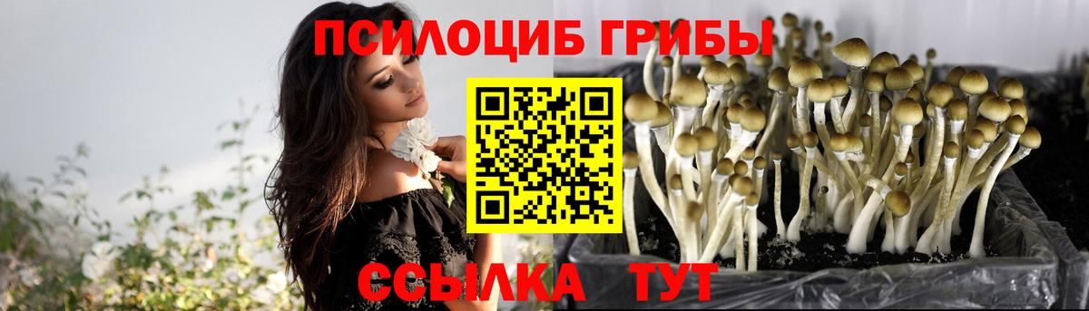 Псилоцибиновые грибы ЛСД Сухой Лог
